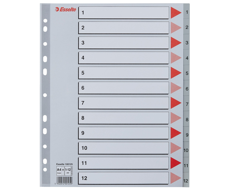 Esselte Register PP A4 maxi 1-12 grå