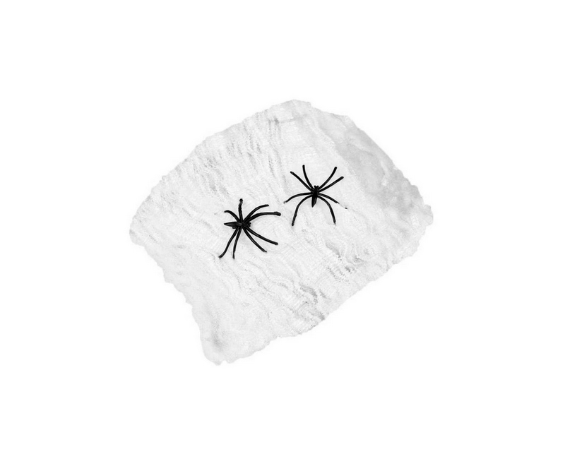 Edderkoppespind med 2 edderkopper